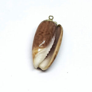 Ciondoli Conchiglie Naturali su Base Oro 15x29mm circa (CHG020-O)