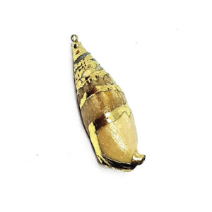 Ciondoli Conchiglie Naturali su Base Oro 15x43mm circa (CHG001-O)