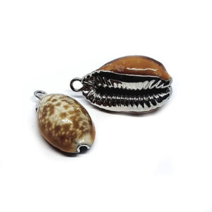 Ciondoli Conchiglie Naturali su Base Silver 16x25mm circa (CHG010-S)