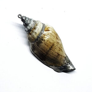 Ciondoli Conchiglie Naturali su Base Silver 30x50mm circa (CHG004-S)