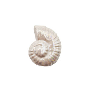 Componenti in Ceramica Greca Conchiglia Bianca 18x22mm (CRG449-2002)