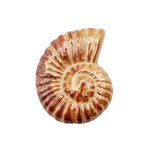 Componenti in Ceramica Greca Conchiglia Arancio 33x42mm (CRG446-3123)
