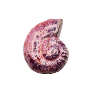 Componenti in Ceramica Greca Conchiglia Viola 33x42mm (CRG446-3083)